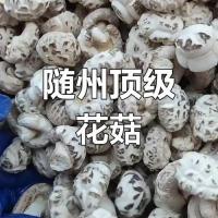 随州花菇