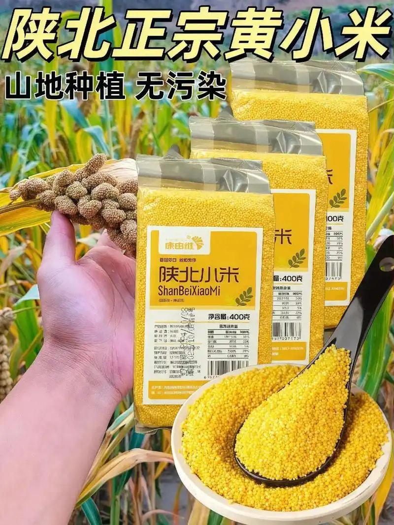 陕北黄小米