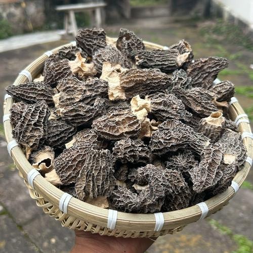 云南羊肚菌干品
