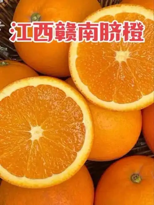 江西赣南脐橙