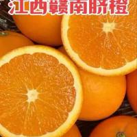 江西赣南脐橙