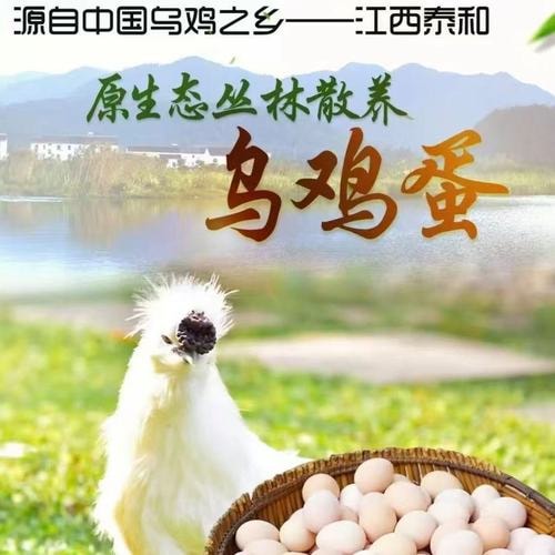 生态乌鸡蛋