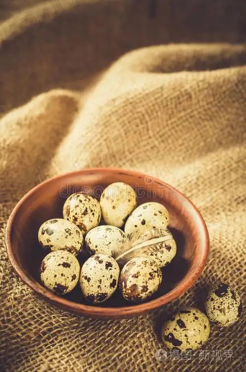 有机鹌鹑蛋