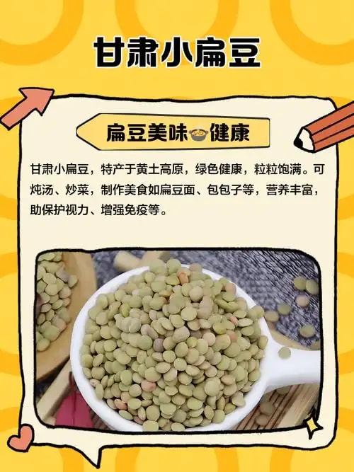 甘肃扁豆