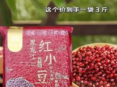 杂粮豆类区域代理招商