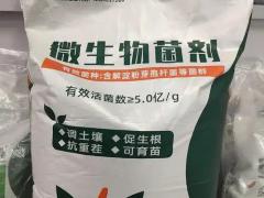 绿色农资与种苗交易会