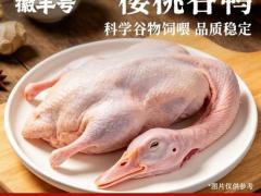 夏季绿色农产品专题展