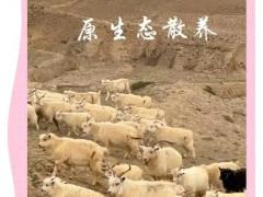 华南果蔬采购对接展