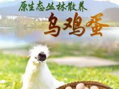 散养禽蛋追溯体系逐步完善