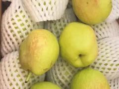 精品水果品牌化之路