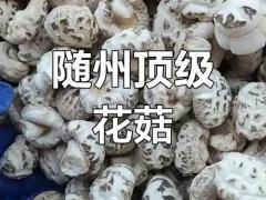 县域产地仓建设加快