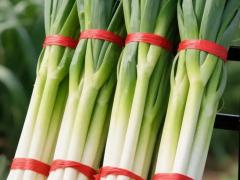 生物制剂登记管理新规