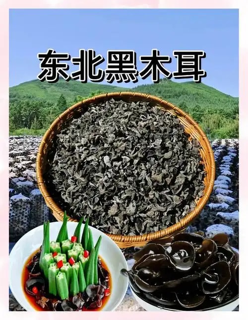 莲塘果蔬合作社,干货加工：田野实力企业专访